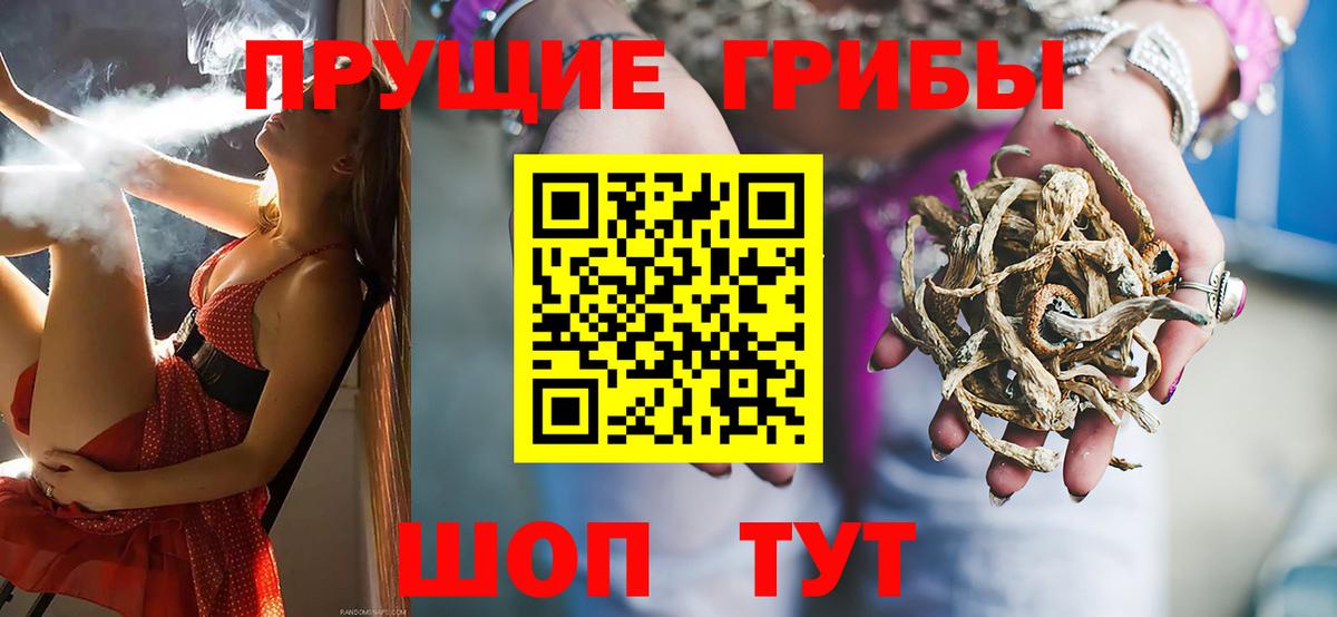 Псилоцибиновые грибы Psilocybine cubensis Армавир